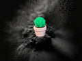 Pink Potted Cactus Clicker